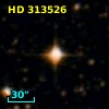 HD 313526
