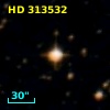 HD 313532