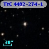 TYC 4492-274-1