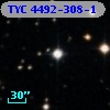 TYC 4492-308-1