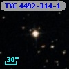 TYC 4492-314-1