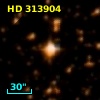 HD 313904