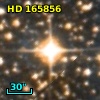HD 165856