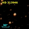 HD 313946