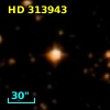 HD 313943