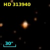 HD 313940