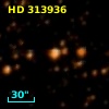 HD 313936