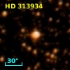 HD 313934