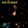 HD 313910