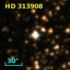HD 313908