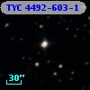 TYC 4492-603-1