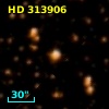 HD 313906