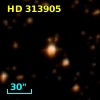 HD 313905