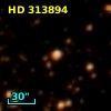 HD 313894