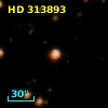 HD 313893