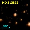 HD 313892