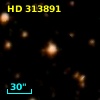 HD 313891