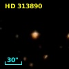 HD 313890