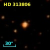 HD 313806
