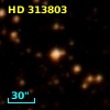 HD 313803