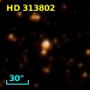 HD 313802