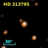 HD 313795