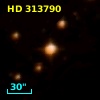 HD 313790