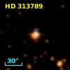 HD 313789