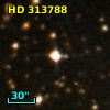 HD 313788
