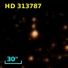 HD 313787