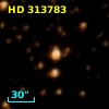 HD 313783