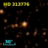 HD 313776