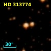 HD 313774