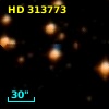 HD 313773