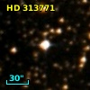 HD 313771