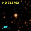 HD 313763