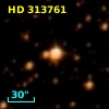 HD 313761