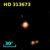 HD 313673