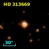 HD 313669