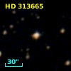 HD 313665