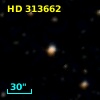 HD 313662