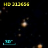 HD 313656