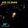HD 313649
