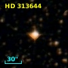 HD 313644