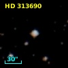 HD 313690