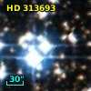 HD 313693