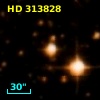 HD 313828