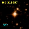 HD 313957