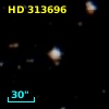 HD 313696