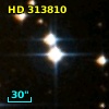 HD 313810